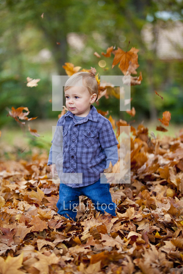 toddler boy in a leaf pile