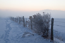 barbed wire fence in snow 