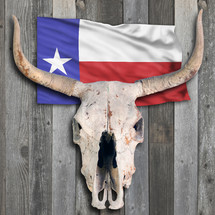 Texas cow skull on old wooden background.