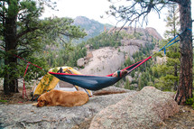 a woman in a hammock next to her golden retriever 