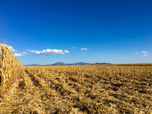 plowed corn field 