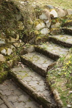 moss growing on stone steps outdoors 