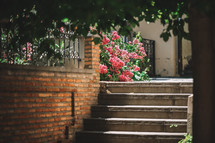 Stairs and blooming pink flowers in the street