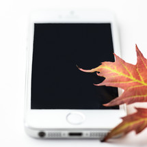 iPhone and fall leaf 