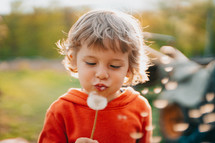 Happy little boy blowing on dandelion in park. 3 years old child making wishes, joy, childhood concept. High quality photo