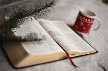 open Bible at Christmas 