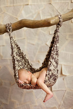 Newborn lying in hammock