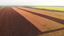 Flying over natural landscape green field at sunset time. Drone flying over wheat field harvest crops in the countryside.