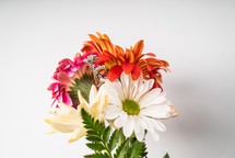 bouquet of flowers on white 
