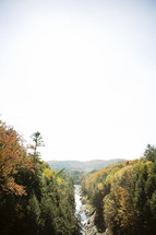 river through a mountain forest 