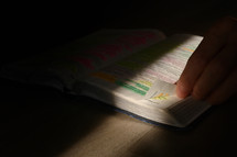 sunbeam on highlighted pages of a Bible 
