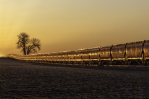 sun glows on the train box cars as the sun rises above the horizon
