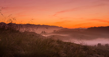 fog and grassy hills at sunset 
