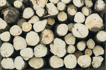 stacked logs 