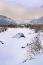 winter landscape 