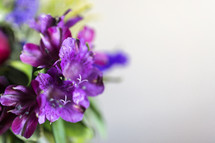 close up of purple flowers with copyspace