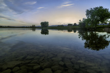 A beautiful green tree reflects in the lake waters at sunrise located in Loveland Colorado, Larimer County