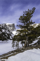Alpine trees and Hallet Peak along a frozen Dream Lake located in Rocky Mountain National Park on a winter/spring day