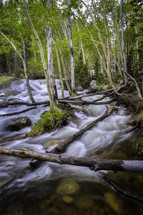 The winter's snow is melting in Colorado. Creeks are overflowing their banks in Rocky Mountain National Park