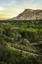 Mt Garfield, located in Grand Junction Colorado, overlooks the green trees on a beautiful spring morning