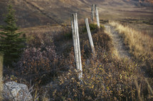 Wooden fence along path on a hill