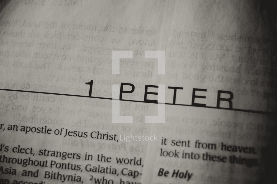 Open Bible in book of 1 Peter