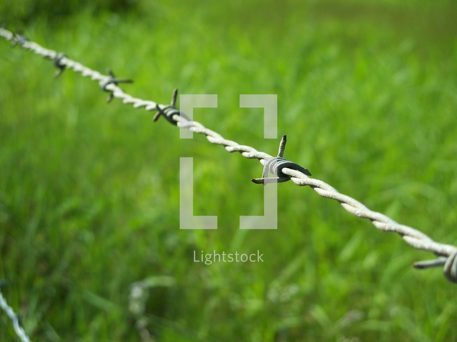Barbed wire fence in front of grass.