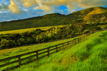 green pasture and fence line 
