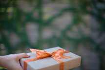 a wrapped present 