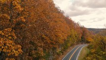 aerial view over an autumn forest and road 