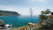 Blue sea of Cinque Terre coast. Monterosso Liguria Italy 