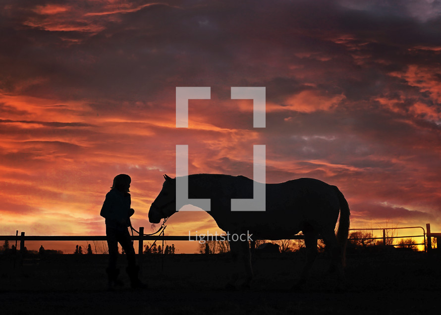 silhouette of a man with a horse under a red sky