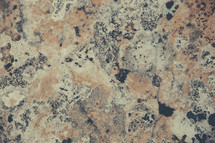A multi-colored rock surface.