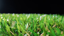 Grass of a football pitch