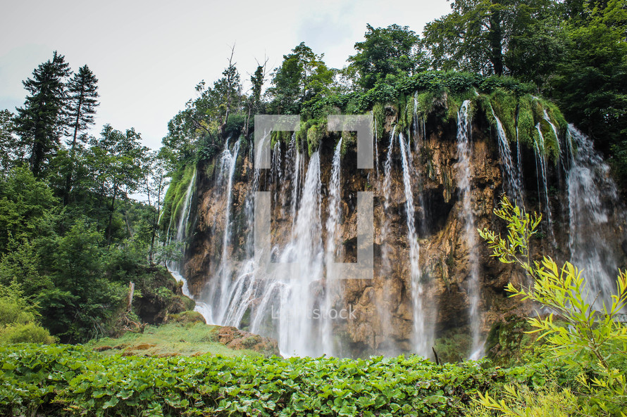 A waterfall amid lush greenery.
