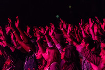 young women with raised hands at a concert 