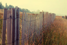 fence line 