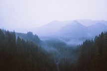 fog over mountains 