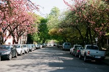 A street lined with cars and trees.