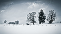 barn and trees in snow 