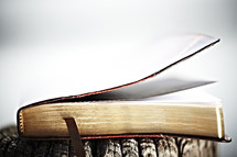 A bible closed with it's bookmark in the foreground