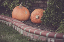 pumpkins in a front yard