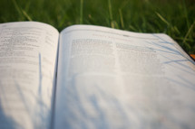 an open Bible lying in grass 