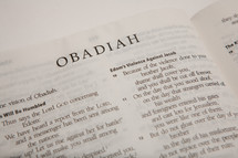 Obadiah  