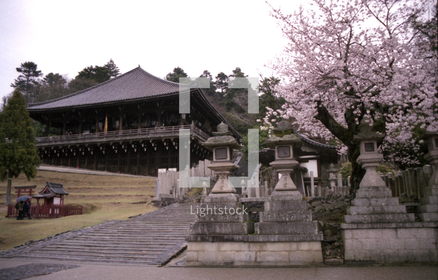 Asian house on hillside with stone pillars and pink blossom tree on side.