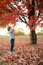 a boy child playing in fall leaves 