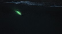 diver explores ocean in the night
