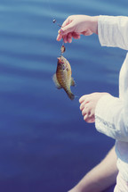 Girl catches a small sun fish.