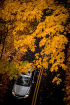 fall drive 