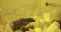 scientist working in a lab on developing a covid-19 vaccine